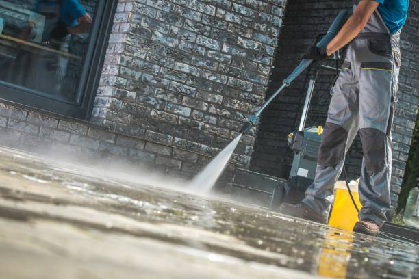 Best Animal Enclosure Cleaning  in Grayling, MI