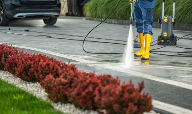 Best Roof Washing  in Grayling, MI
